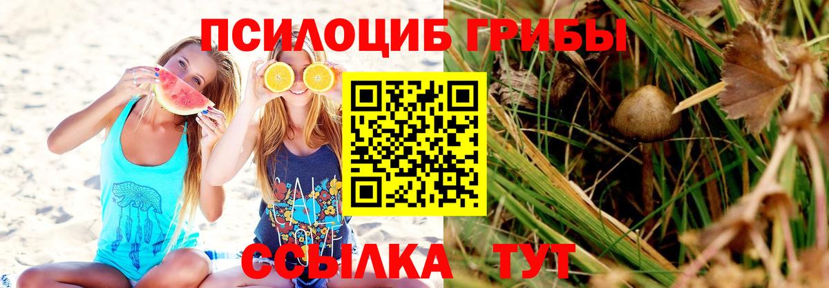 Псилоцибиновые грибы Magic Shrooms Хасавюрт