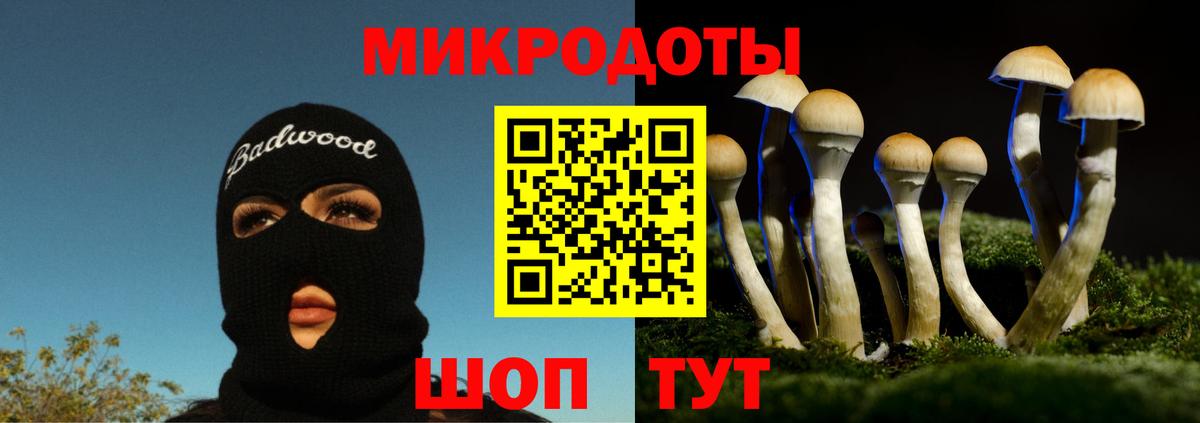 Галлюциногенные грибы Psilocybine cubensis  Вход с VPN  Хасавюрт 